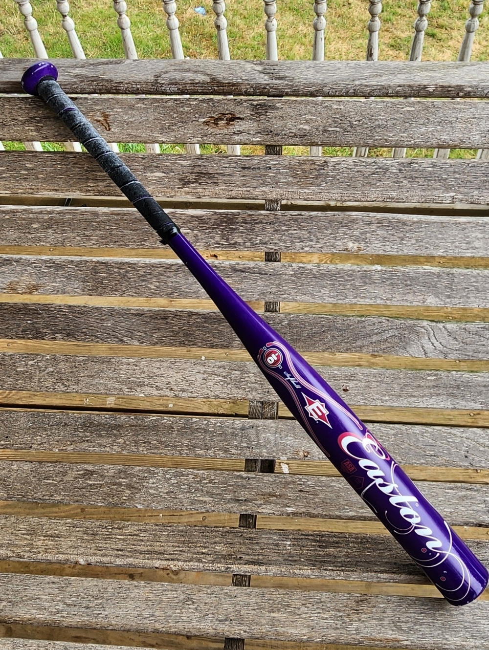 EASTON SK25 Fastpitch Softball Bat (31")(21 oz)(2 1/4)(-10)